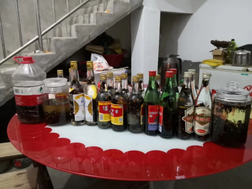 马蜂可以泡几次,马蜂特别多