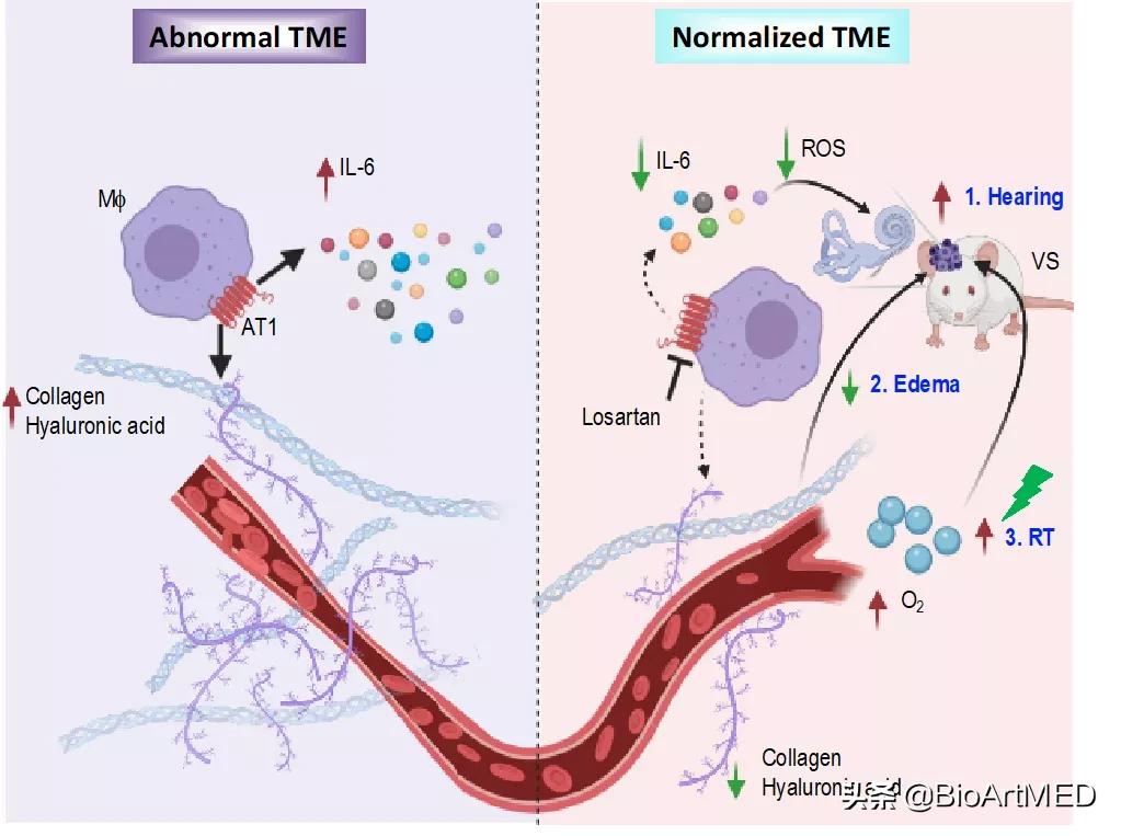 降压药疗效,降压药疗效好降压显著副作用又少