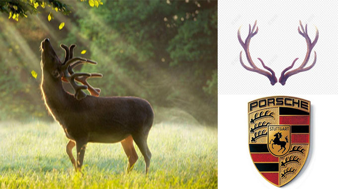 从十级车迷变成硬核对手！*博兰**等奢华品牌背后猜不到的神转折！