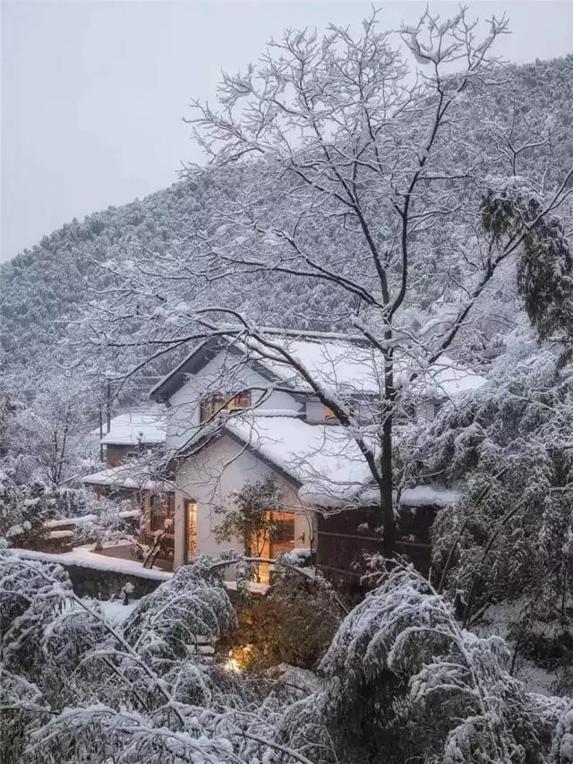 莫干山十大民宿,莫干山温泉民宿推荐3天2晚