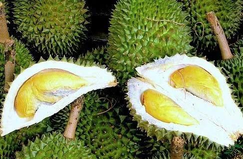 一年四季的时令蔬菜,一年四季的时令水果大全