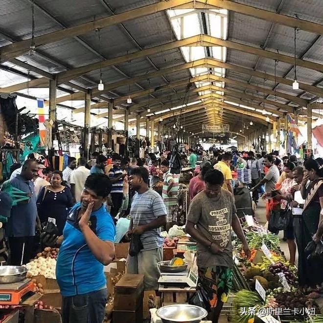 我在斯里兰卡旅行,斯里兰卡第五天