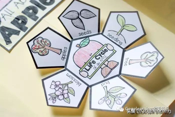 简单折叠立体书教程,手工折叠书教程简单