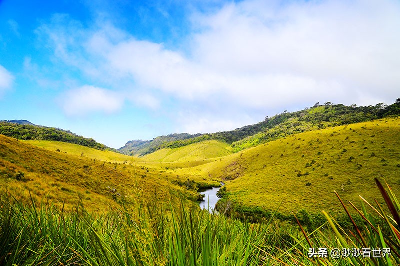 去斯里兰卡旅游攻略,1月去斯里兰卡旅游的最佳攻略