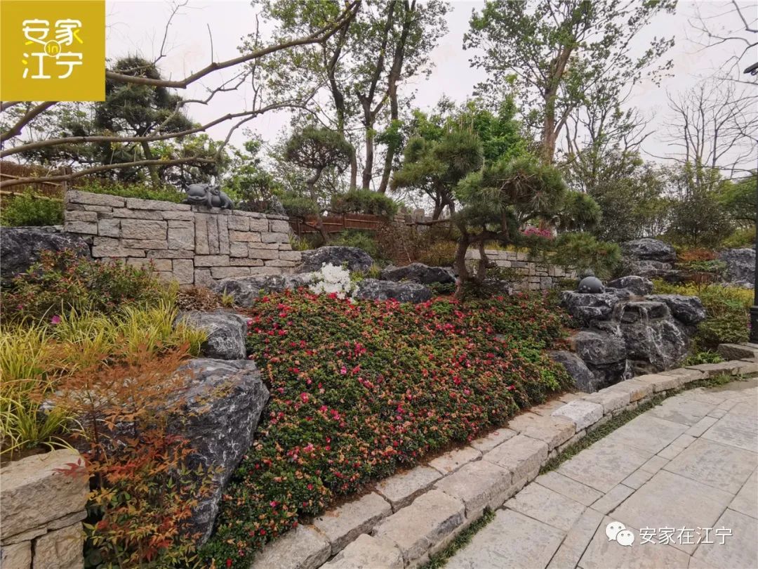 南京超百亿文旅地标,震撼南京城市视频