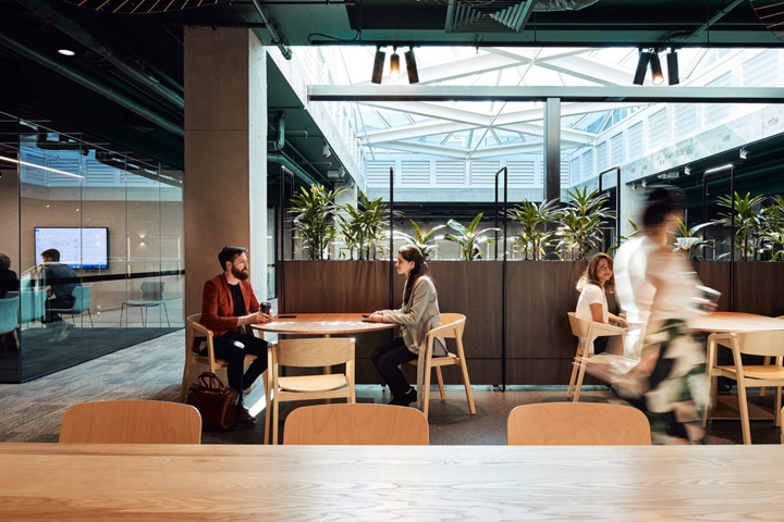 davidjones婢虫床瀹樼綉,婢虫床davidjones