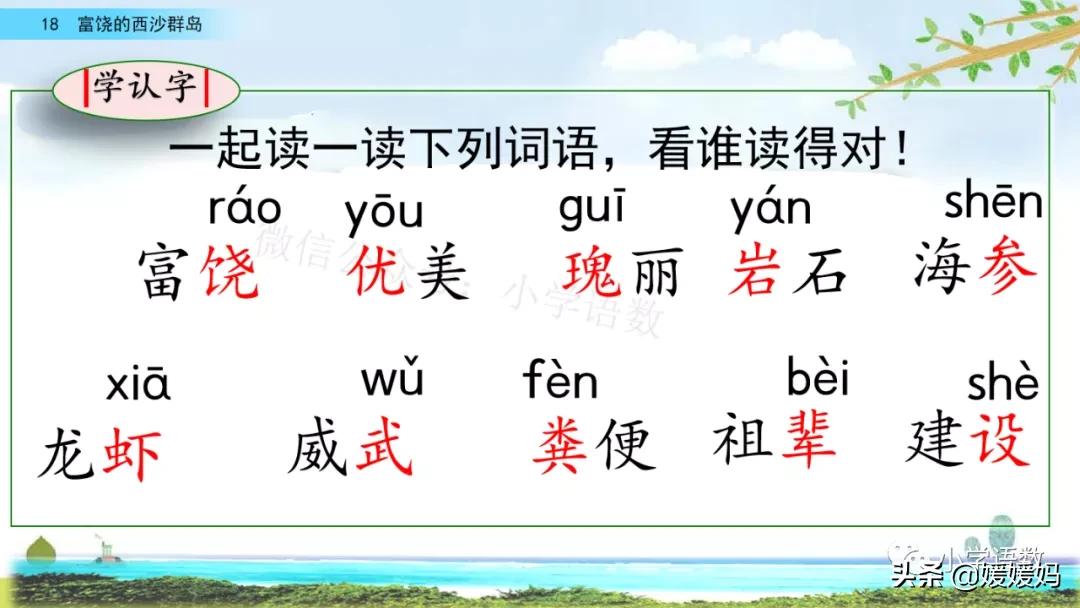 三年级第18课富饶的西沙群岛视频,三年级上册18富饶的西沙群岛笔记