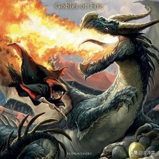 哈利波特与阿兹卡班魁地奇比赛,哈利波特与火焰杯魁地奇比赛