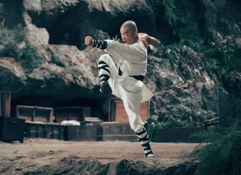 李连杰陈龙甄子丹片酬,李连杰谈甄子丹