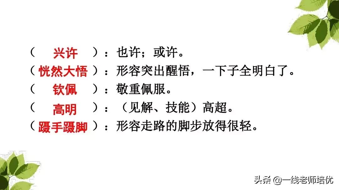 三年级语文带刺的朋友课堂笔记,带刺的朋友三年级上册