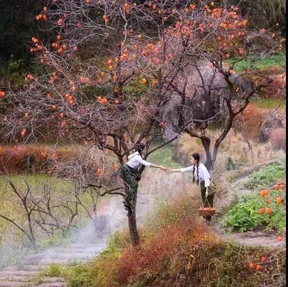 潍坊这5条颜值爆表的自驾线路，藏着美景无数，每一公里都美到极致！