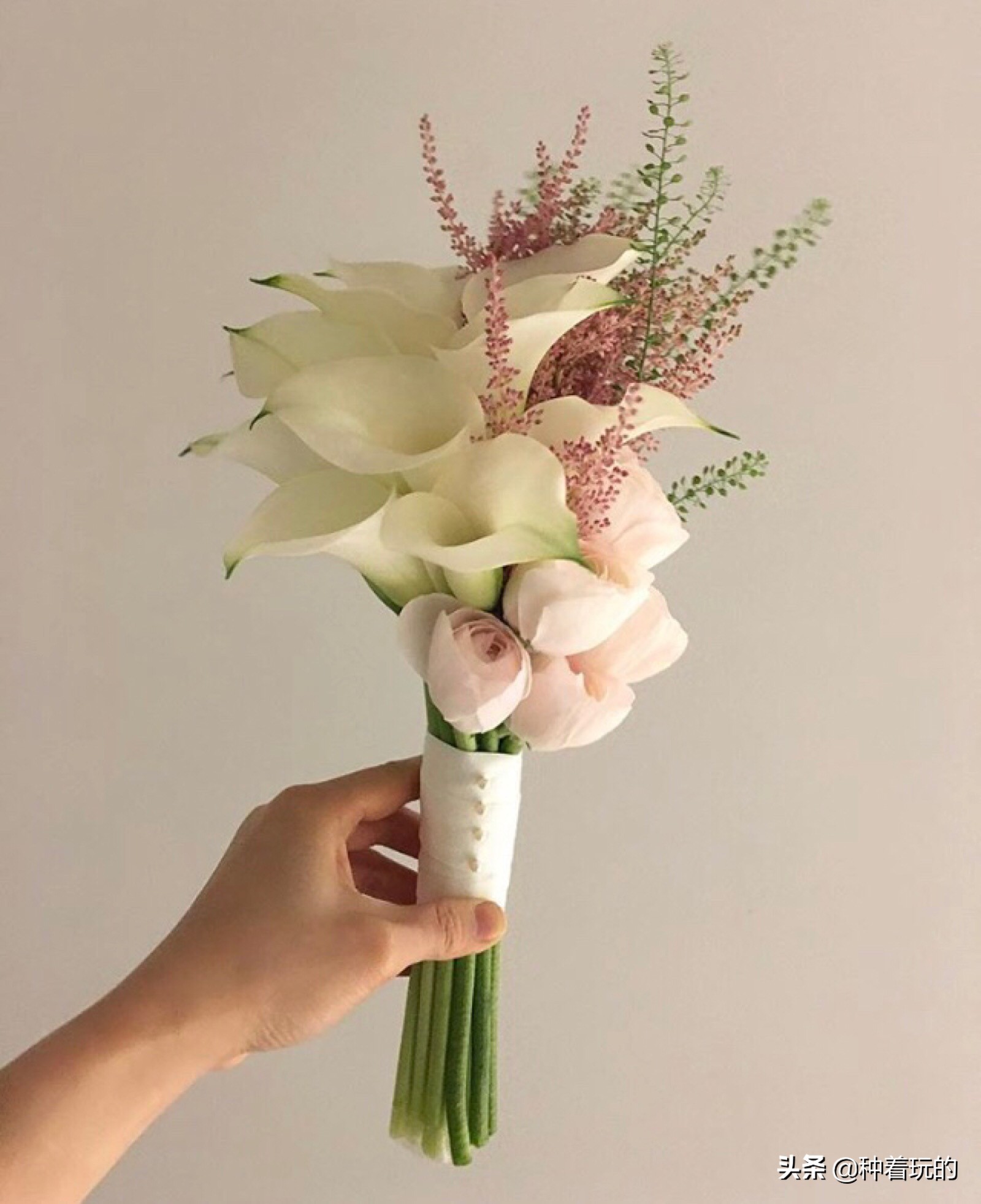 纯洁优雅的少女绽放的马蹄莲从天降落的圣光你心动了吗