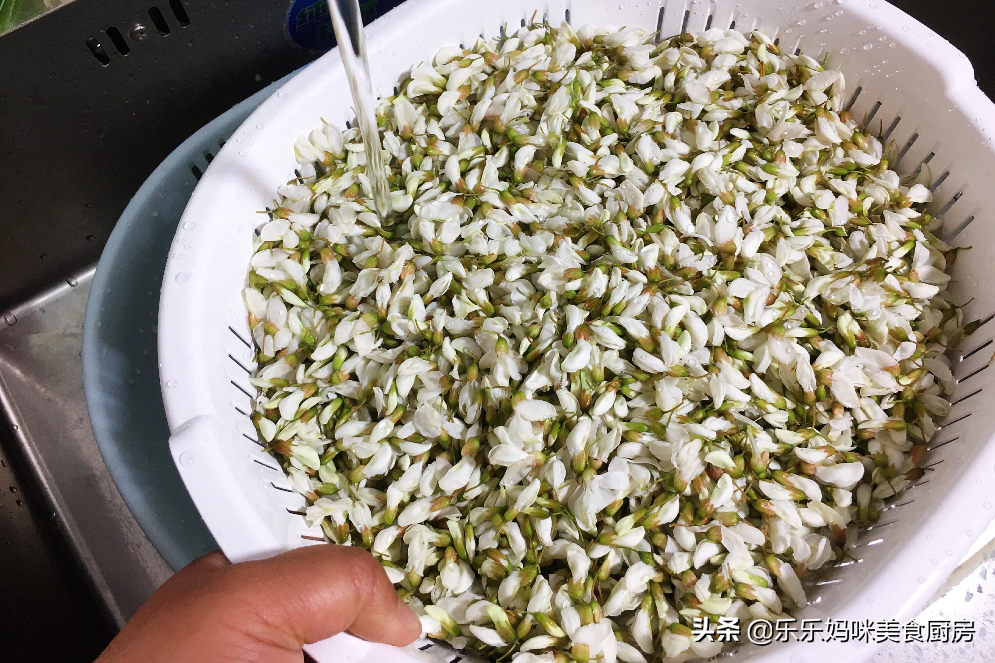 怎么能让槐花一直保持香气,槐花怎样储存保鲜的时间较长