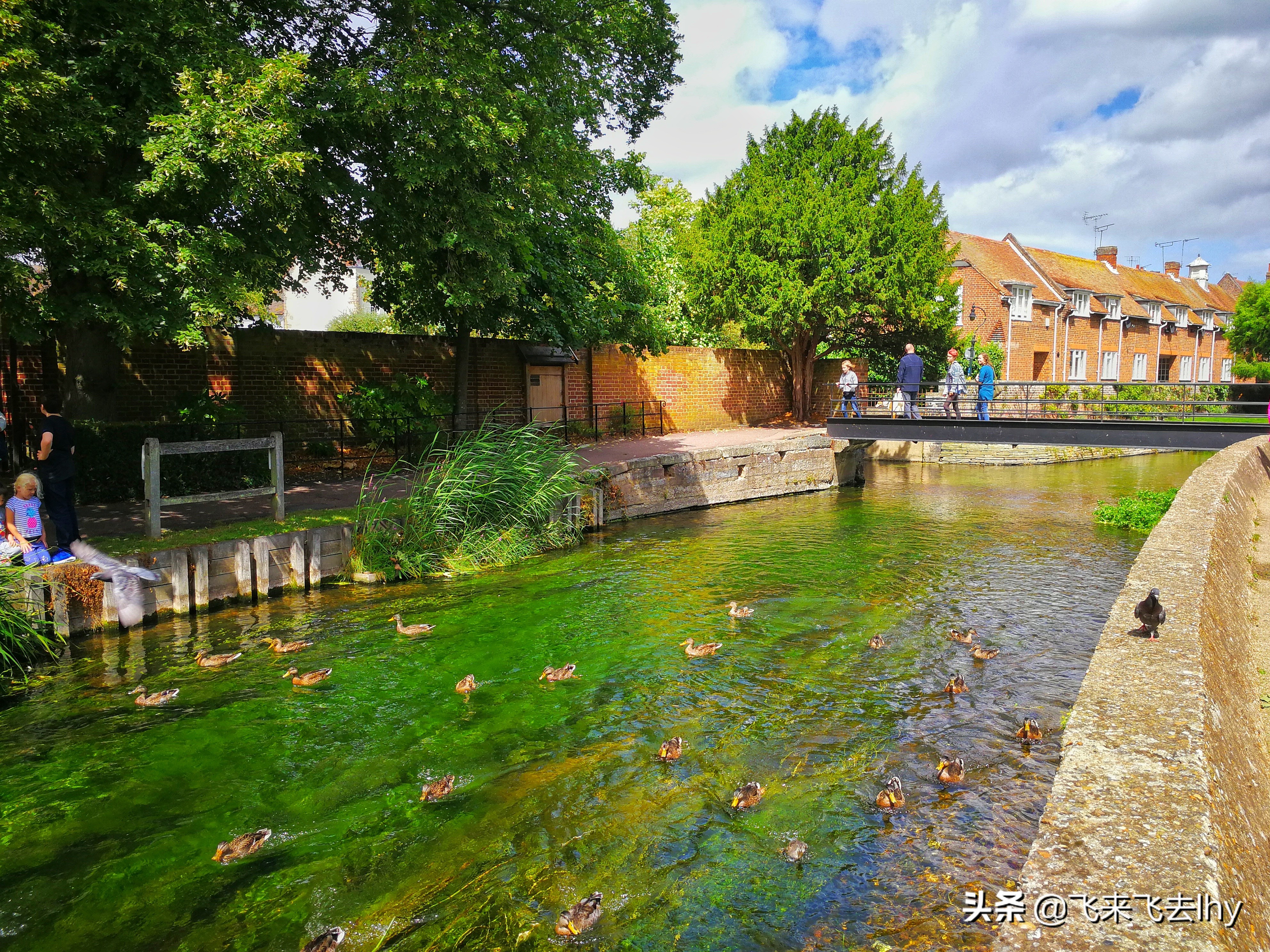 鑻卞浗鍧庣壒浼浄澶у鎺掑悕,鍧庣壒浼浄鑻卞浗