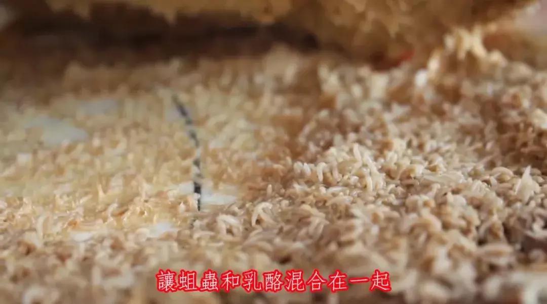 外国奇葩美食,外国最奇葩的美食