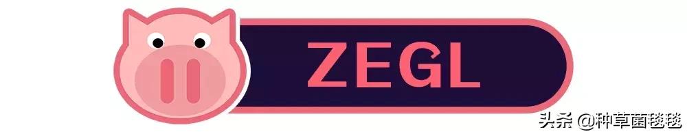 25块买啥,25块买什么东西