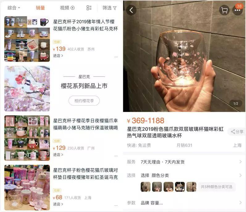 致“你们”情有独钟的猫抓杯！