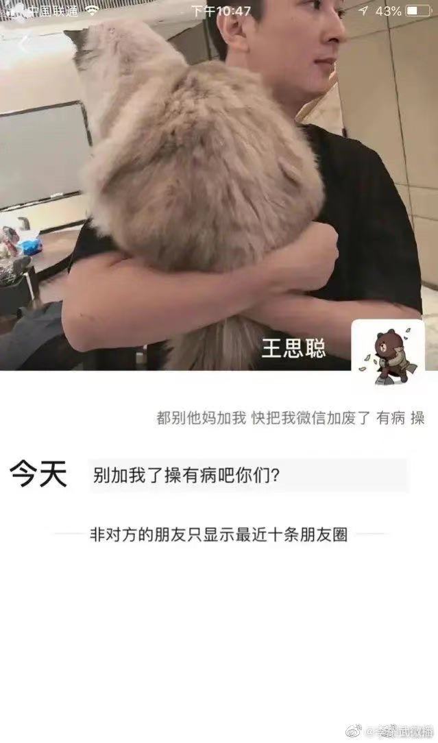 王思聪微信会被泄露吗,王思聪微信号被曝光