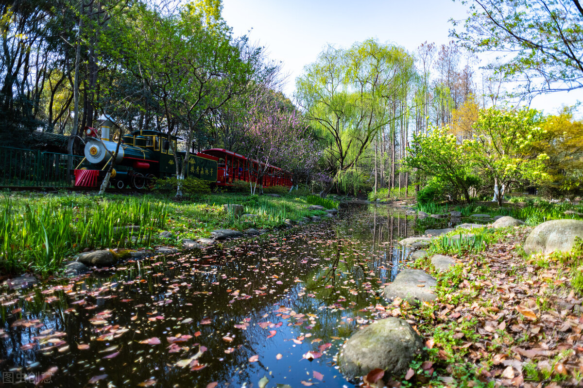 上海春节亲子游好地方推荐,上海自然博物馆亲子游攻略