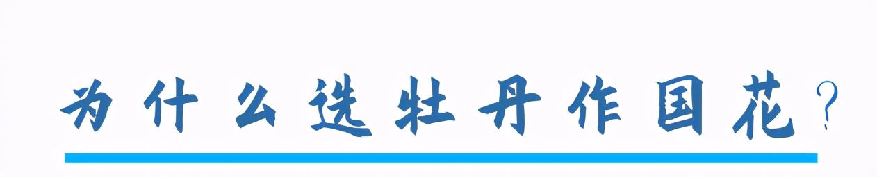 中国的国花是哪一种,中国的国花是什么时间定的