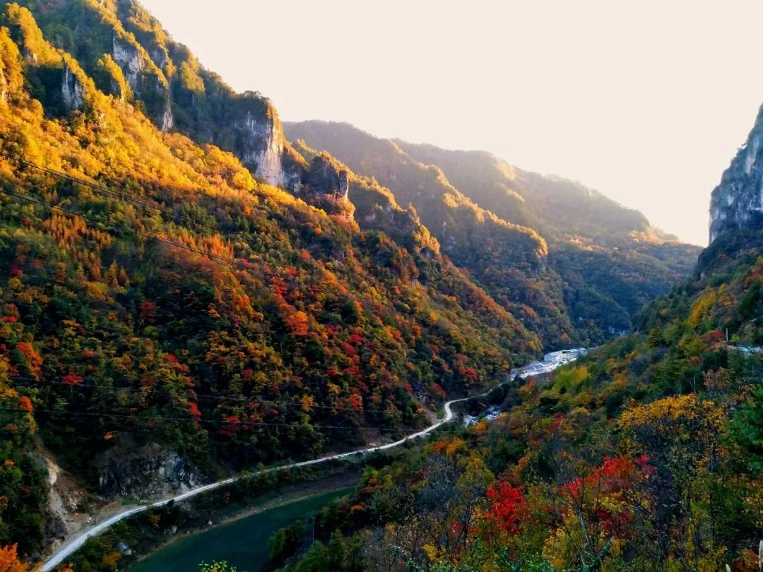 还没想好国庆去哪?自驾2.5小时,在秋日里泡温泉吃美食