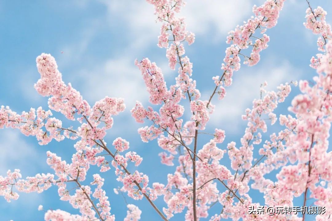 手机修图技巧大全免费,华为手机修图技巧