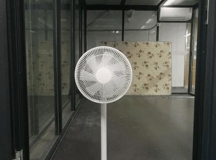 除甲醛方法哪个更靠谱,真正靠谱的除甲醛方法