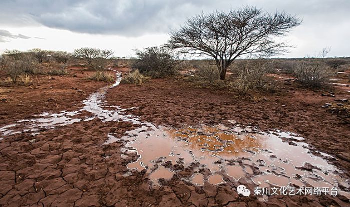 地下水位下降还能恢复吗,水位下降老井干枯