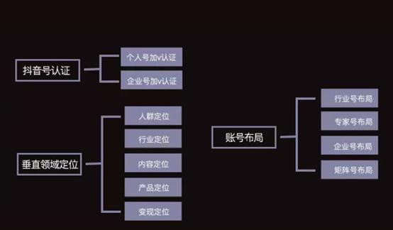 抖音运营课程，详细的流程分解2，抖音账号认证与领域定位