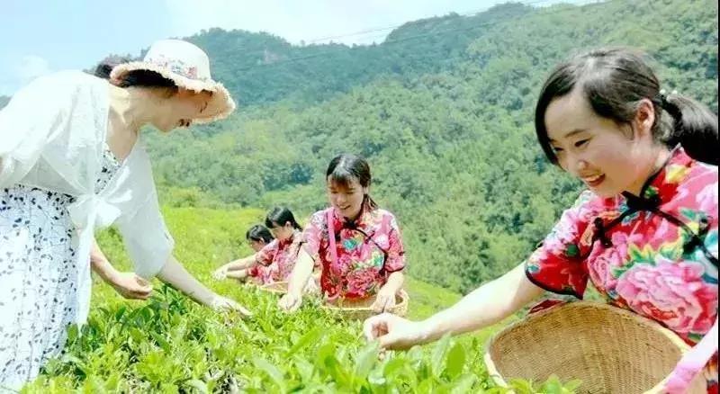 房县1000万大奖,竹山房县中千万大奖