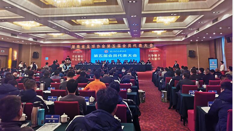 湖南省足协换届|茵浪董事长王海冰先生当选新任副主席