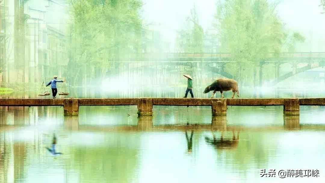 为什么有的人投资眼光很准,为什么越来越多的资本想投资酱酒