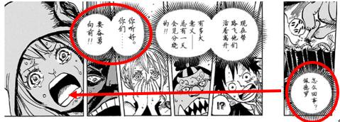 为什么说加洛特是草帽团的第十人 (加洛特是草帽海贼团的第十人)