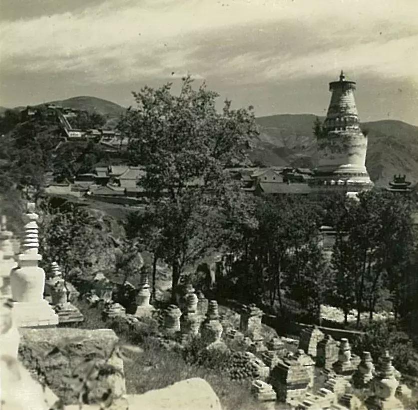 你可能没见过的姓氏,你可能没见过的日语