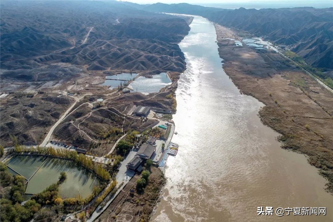 青铜峡鸟岛介绍,青铜峡鸟岛自然保护区能进吗