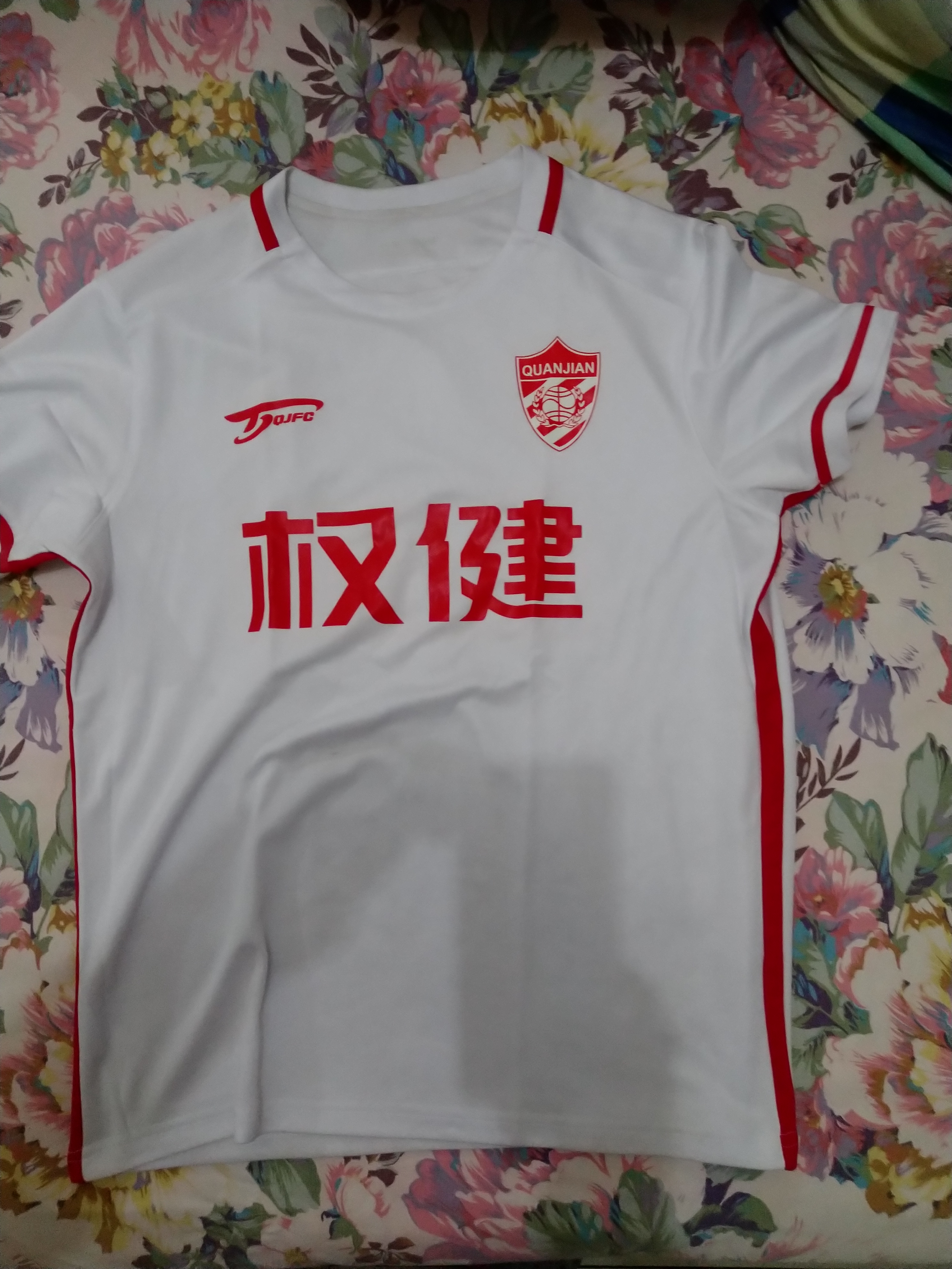 天津球迷球场起哄,2009年中国天津球迷