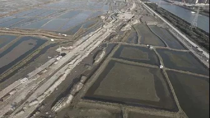 太难了！奉化、小港、杭州湾…这些1W+的板块怎么挑？