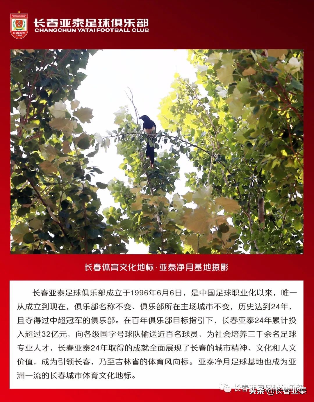 亚泰主场再迎保级大战,亚泰对阵国安直播