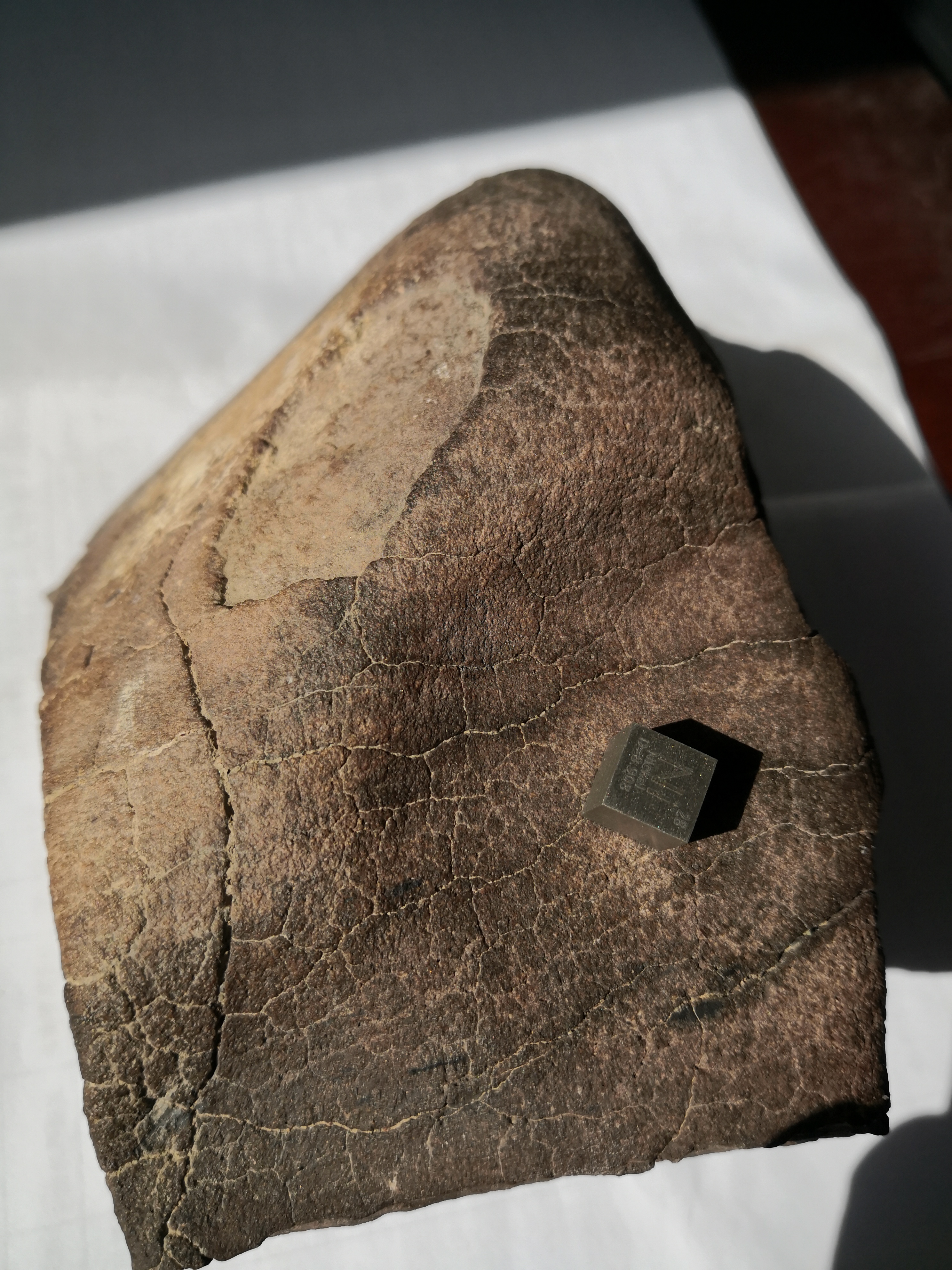 陨石是什么形状的,陨石切面怎样辨别是不是陨石