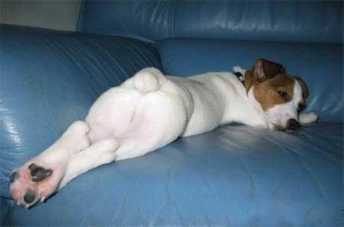 100个能笑死人的笑话搞笑幽默图文,整蛊搞笑盘点笑到肚子疼开心一刻