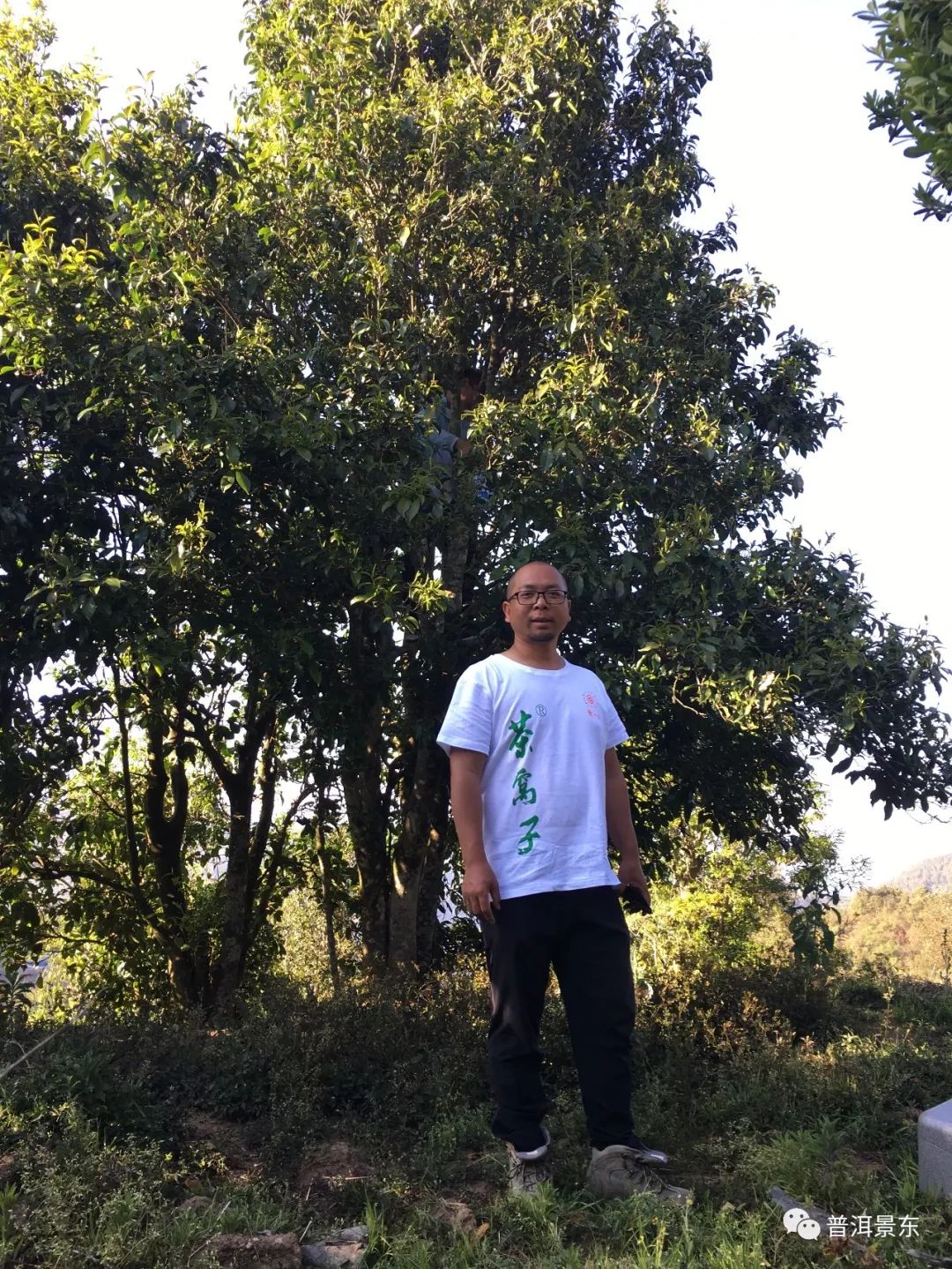 周文军：一个把茶窝子开到3个国家的景东人