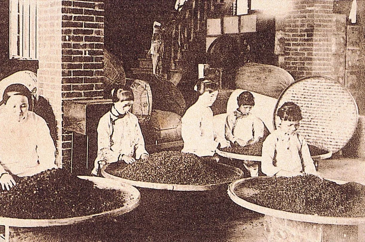 泰顺最出名的茶叶 (泰顺名茶有哪些)