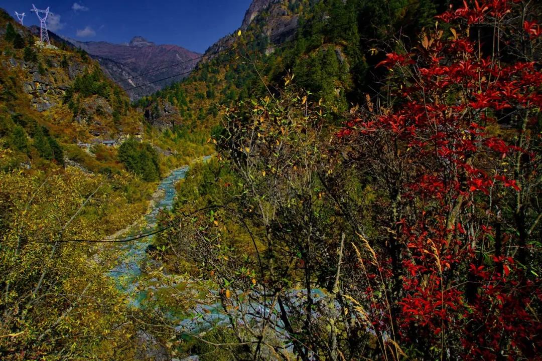 康布世界药王泉，秋季养生正当时