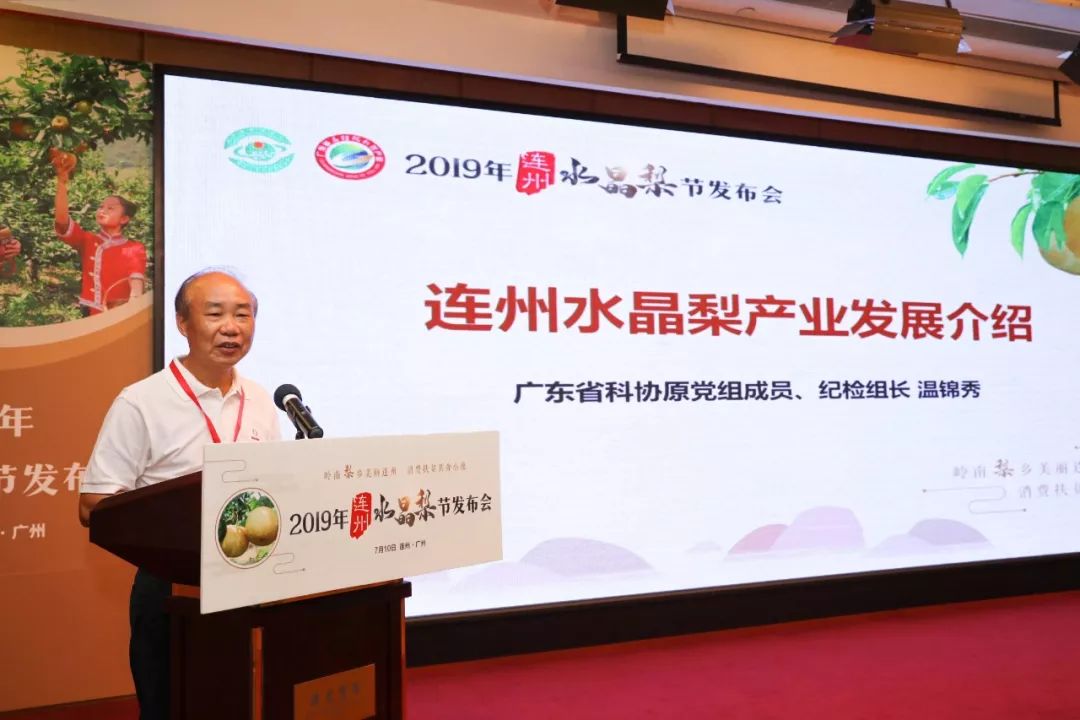 “彩带串珠”精彩纷呈!2019连州水晶梨采摘节发布会在广州举行