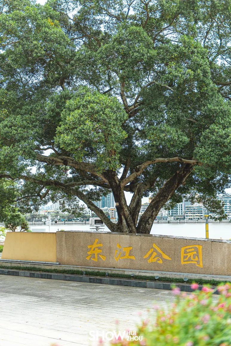 惠州江北夜景最漂亮的地方,惠州江北好去处