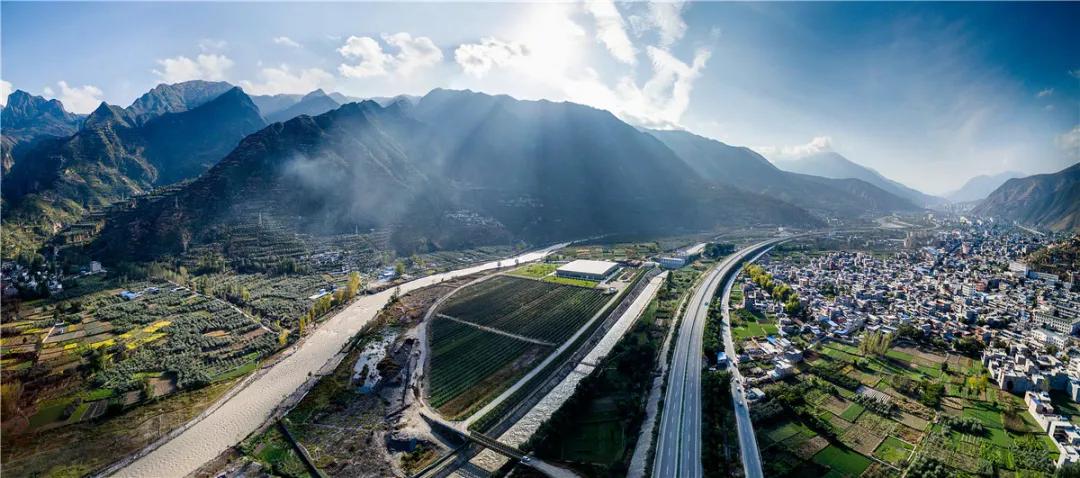 中国国际金奖橄榄油,中国橄榄油获奖