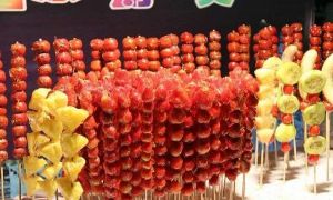 哈尔滨冰雪世界研学,新启元厦门暖冬研学营