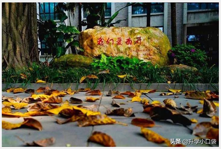 好消息!重庆这两所中学,成功入选“中国高中50强”