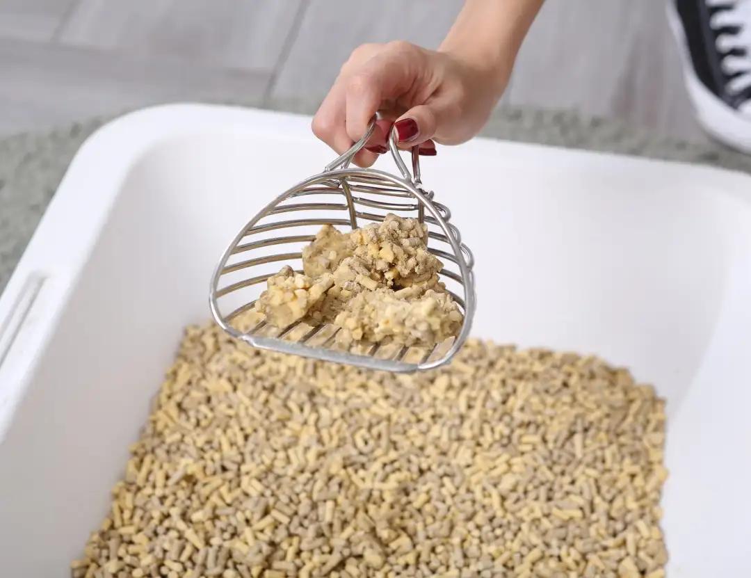 未来5年宠物智能产品,宠物产品logo设计