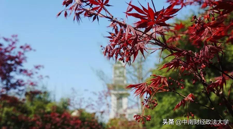 这个学校，就一个字，棒！